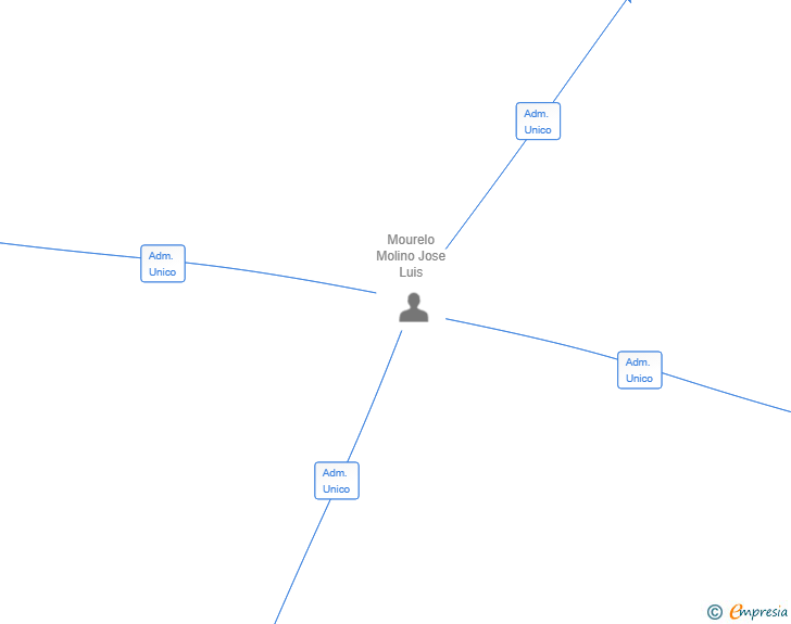 Vinculaciones societarias de JMM SEGURIDAD PROTECCION Y VIGILANCIA SL