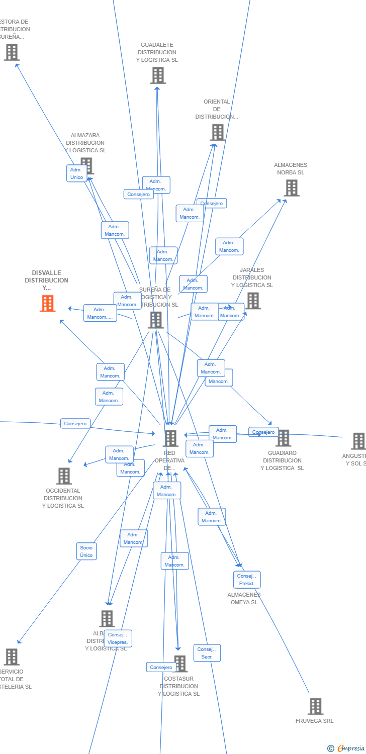 Vinculaciones societarias de DISVALLE DISTRIBUCION Y LOGISTICA SL