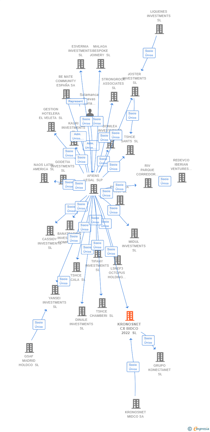 Vinculaciones societarias de KRONOSNET CX BIDCO 2022 SL