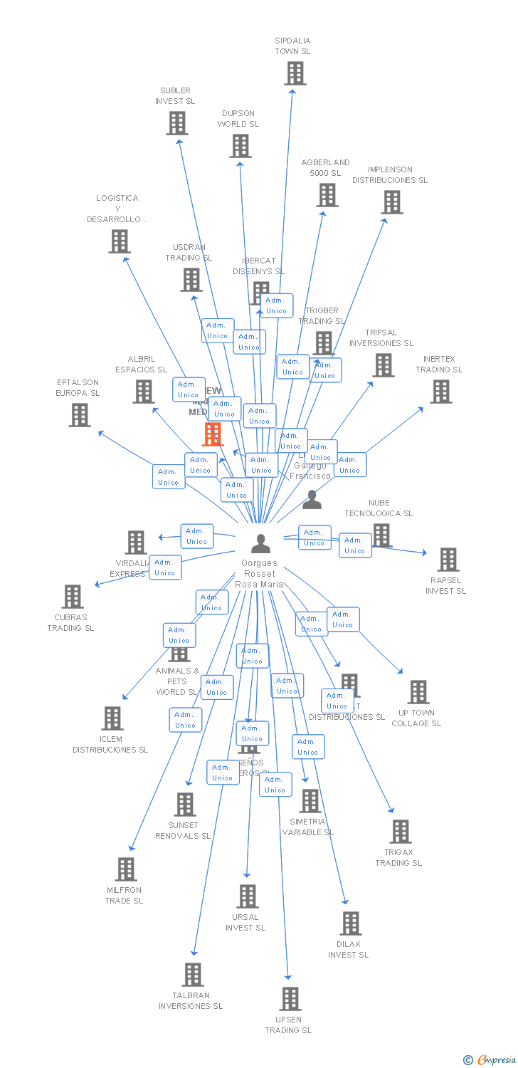 Vinculaciones societarias de NEW MARKET MEDIA SL