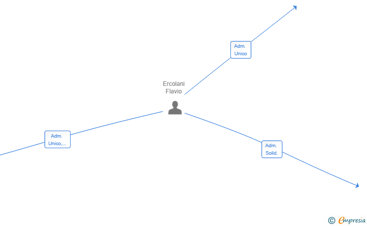 Vinculaciones societarias de THECOACH-LINK SL