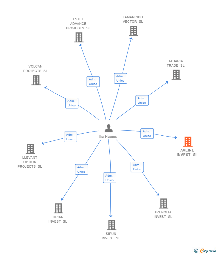 Vinculaciones societarias de AVEINE INVEST SL