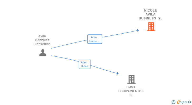 Vinculaciones societarias de NICOLE AVILA BUSINESS SL