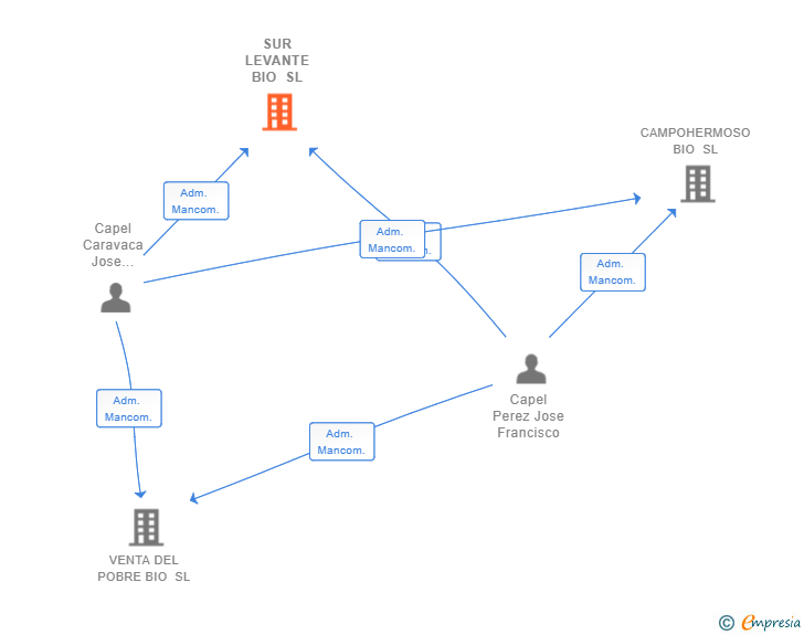 Vinculaciones societarias de SUR LEVANTE BIO SL