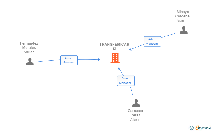 Vinculaciones societarias de TRANSFEMICAR SL