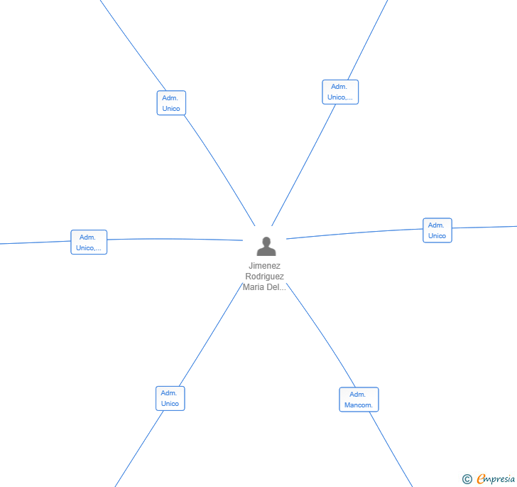 Vinculaciones societarias de VORFIX PRO SL