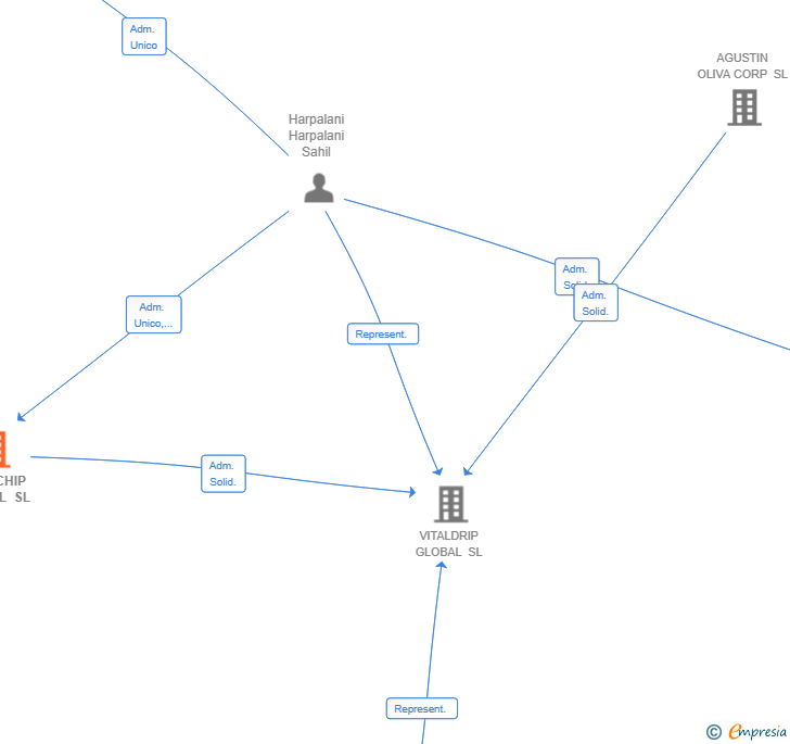 Vinculaciones societarias de BLUE CHIP CAPITAL SL