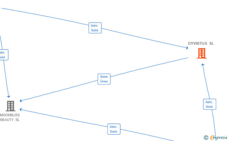 Vinculaciones societarias de DYVIRTUS SL