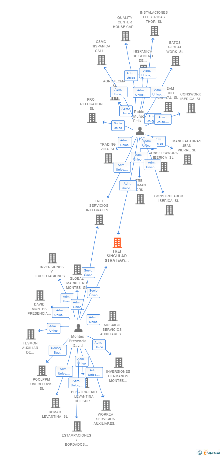 Vinculaciones societarias de TREI SINGULAR STRATEGY SL
