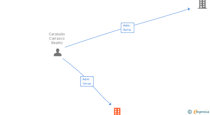 Vinculaciones societarias de DESINFECCIONES ZARAGOZA SANIDAD AMBIENTAL SL