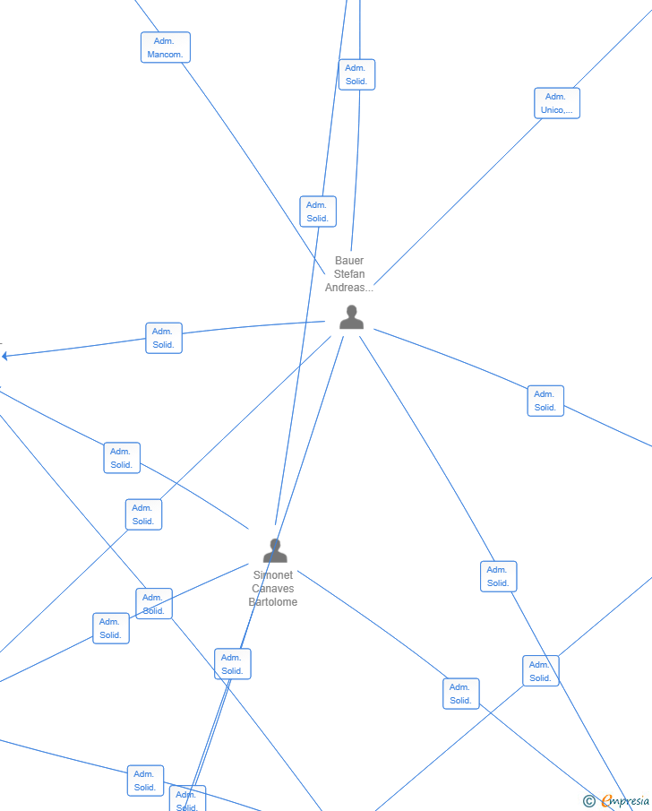 Vinculaciones societarias de VIVENDES SANTANY SL