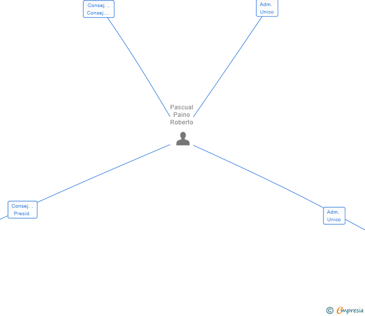 Vinculaciones societarias de DIGIHAUL SPAIN SL