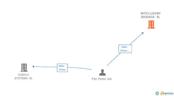 Vinculaciones societarias de INTELLIGENT BIODATA SL