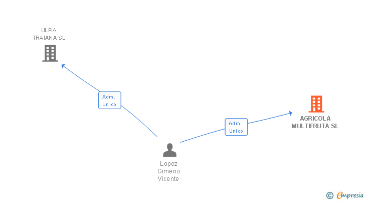 Vinculaciones societarias de AGRICOLA MULTIFRUTA SL
