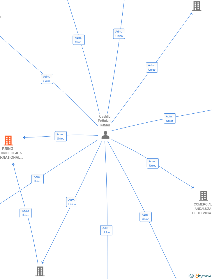 Vinculaciones societarias de BRING TECHNOLOGIES INTERNATIONAL GROUP SL
