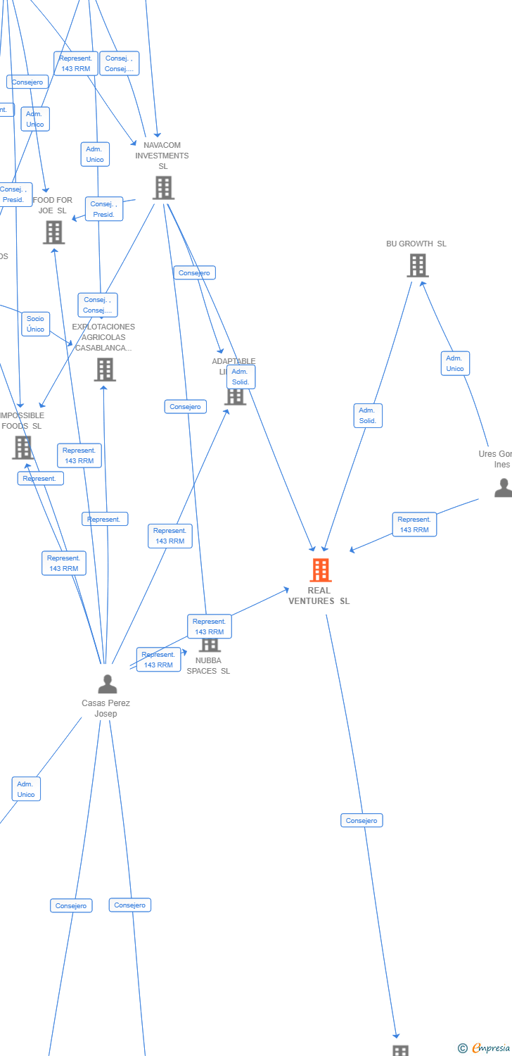 Vinculaciones societarias de REAL VENTURES SL
