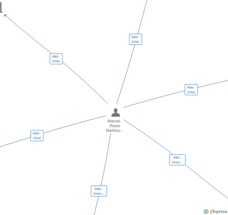 Vinculaciones societarias de ELYNDRA NETWORK SL