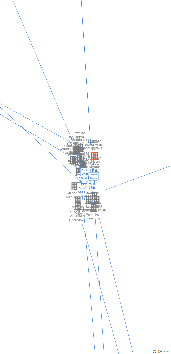 Vinculaciones societarias de ZARZA NETWORKS SL