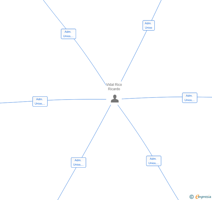 Vinculaciones societarias de WAYRICARD SL