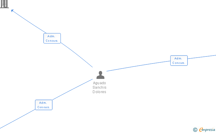 Vinculaciones societarias de BRAND'S COLLECTIONS SL