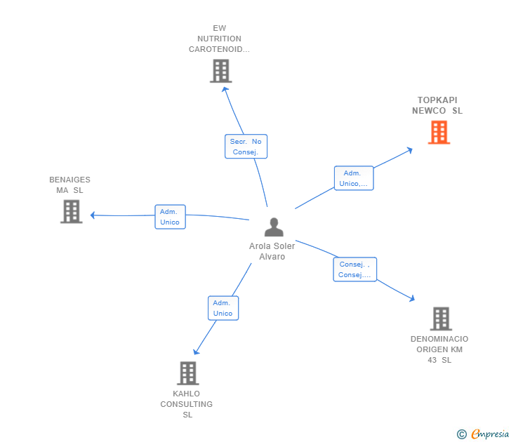 Vinculaciones societarias de TOPKAPI NEWCO SL