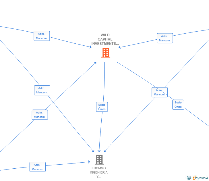 Vinculaciones societarias de WILD CAPITAL INVESTMENTS SL