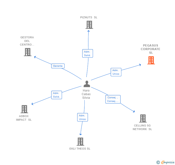 Vinculaciones societarias de PEGASUS CORPORATE SL