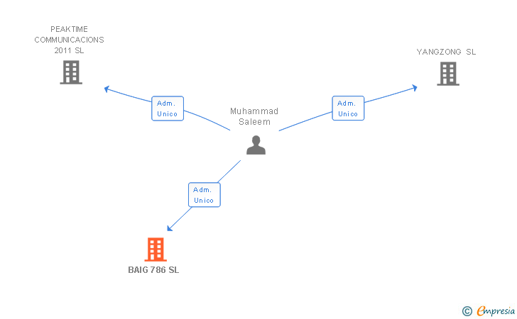Vinculaciones societarias de BAIG 786 SL