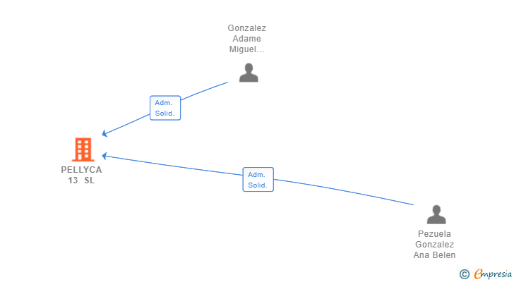 Vinculaciones societarias de PELLYCA 13 SL