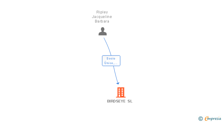 Vinculaciones societarias de BIRDSEYE SL