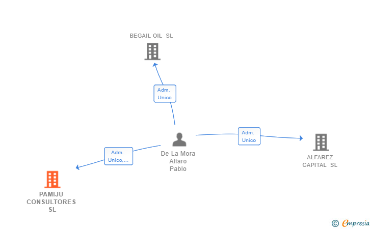 Vinculaciones societarias de PAMIJU CONSULTORES SL