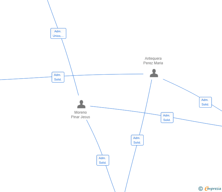 Vinculaciones societarias de MAD4BALANCE SL