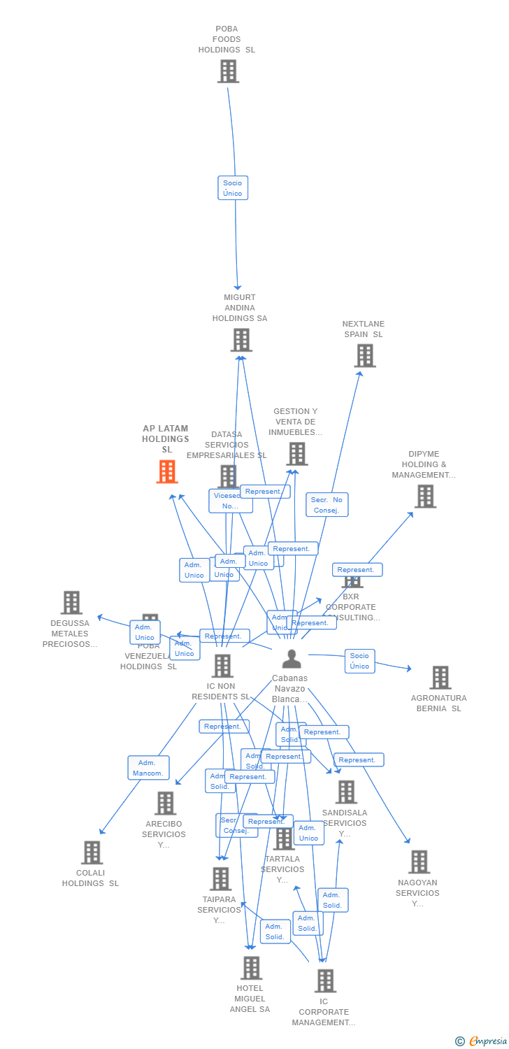 Vinculaciones societarias de AP LATAM HOLDINGS SL