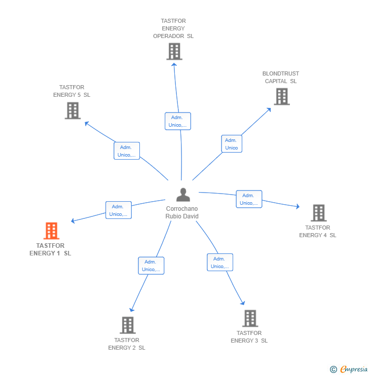 Vinculaciones societarias de TASTFOR ENERGY 1 SL