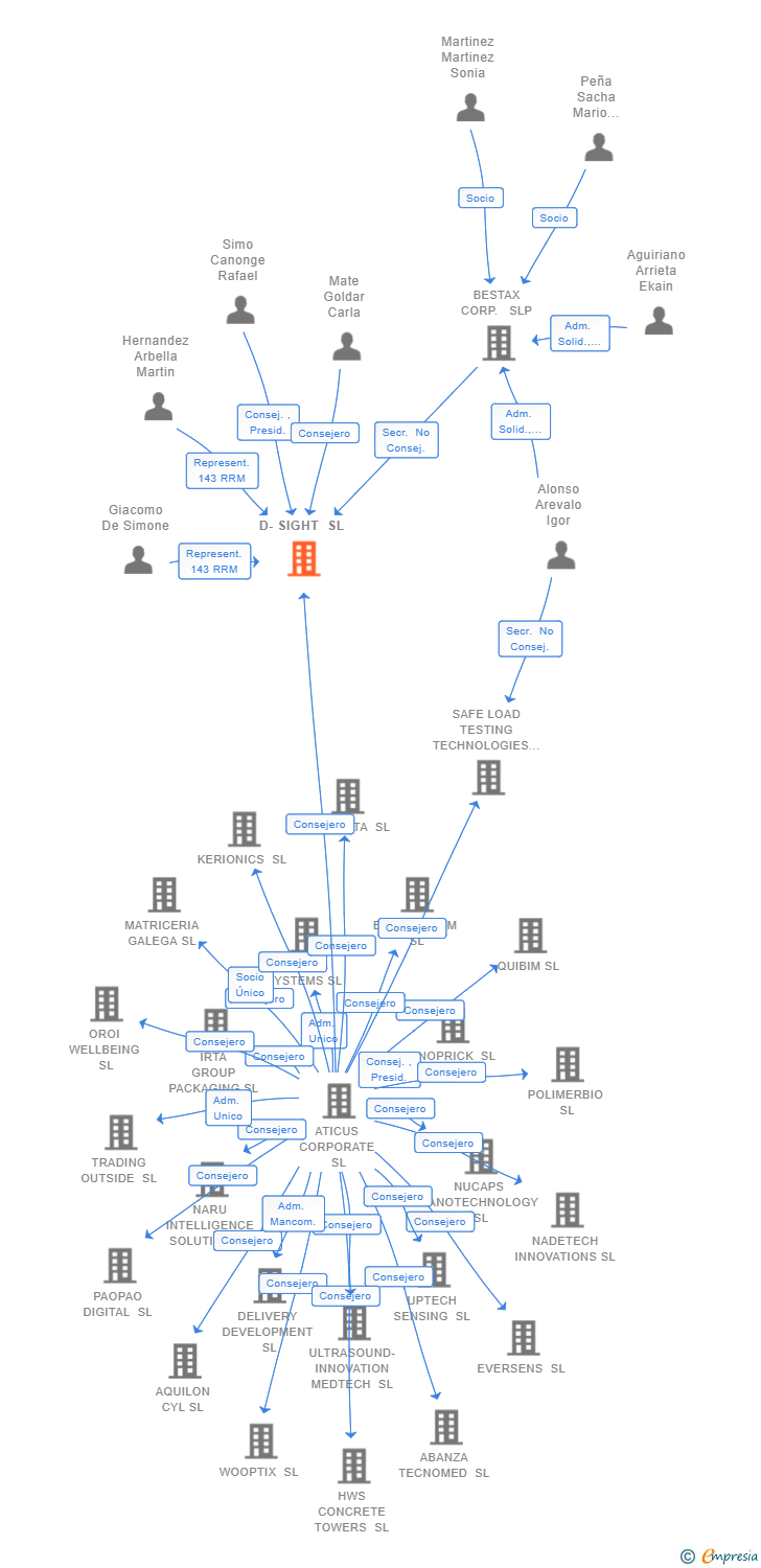 Vinculaciones societarias de D-SIGHT SL