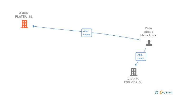 Vinculaciones societarias de AMON PLATEA SL