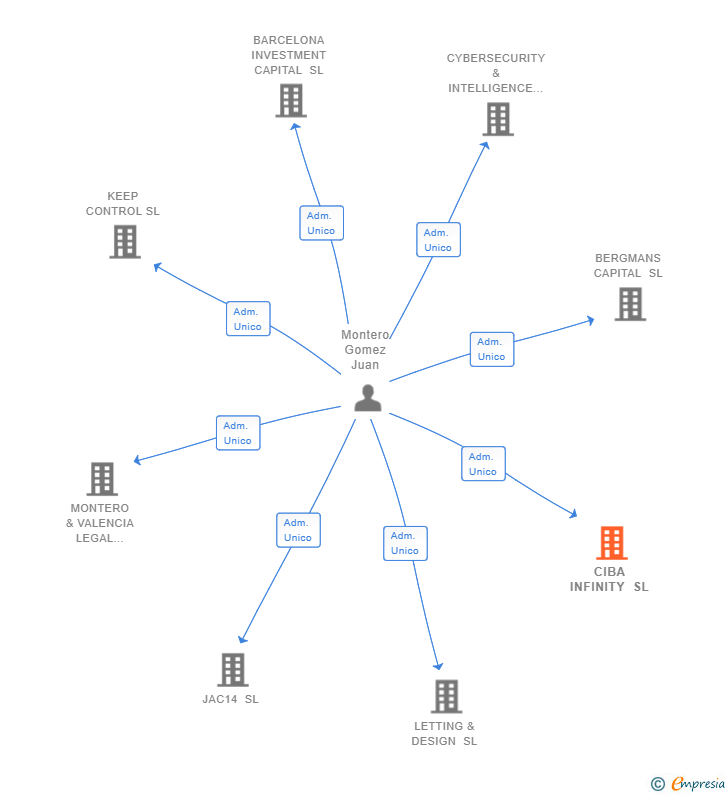 Vinculaciones societarias de CIBA INFINITY SL