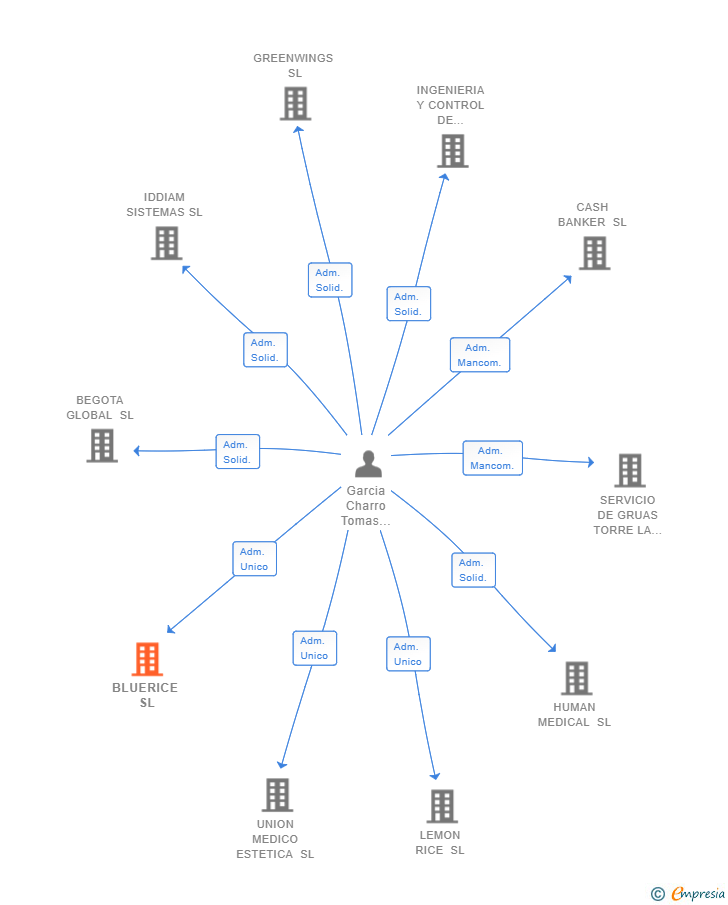 Vinculaciones societarias de BLUERICE SL