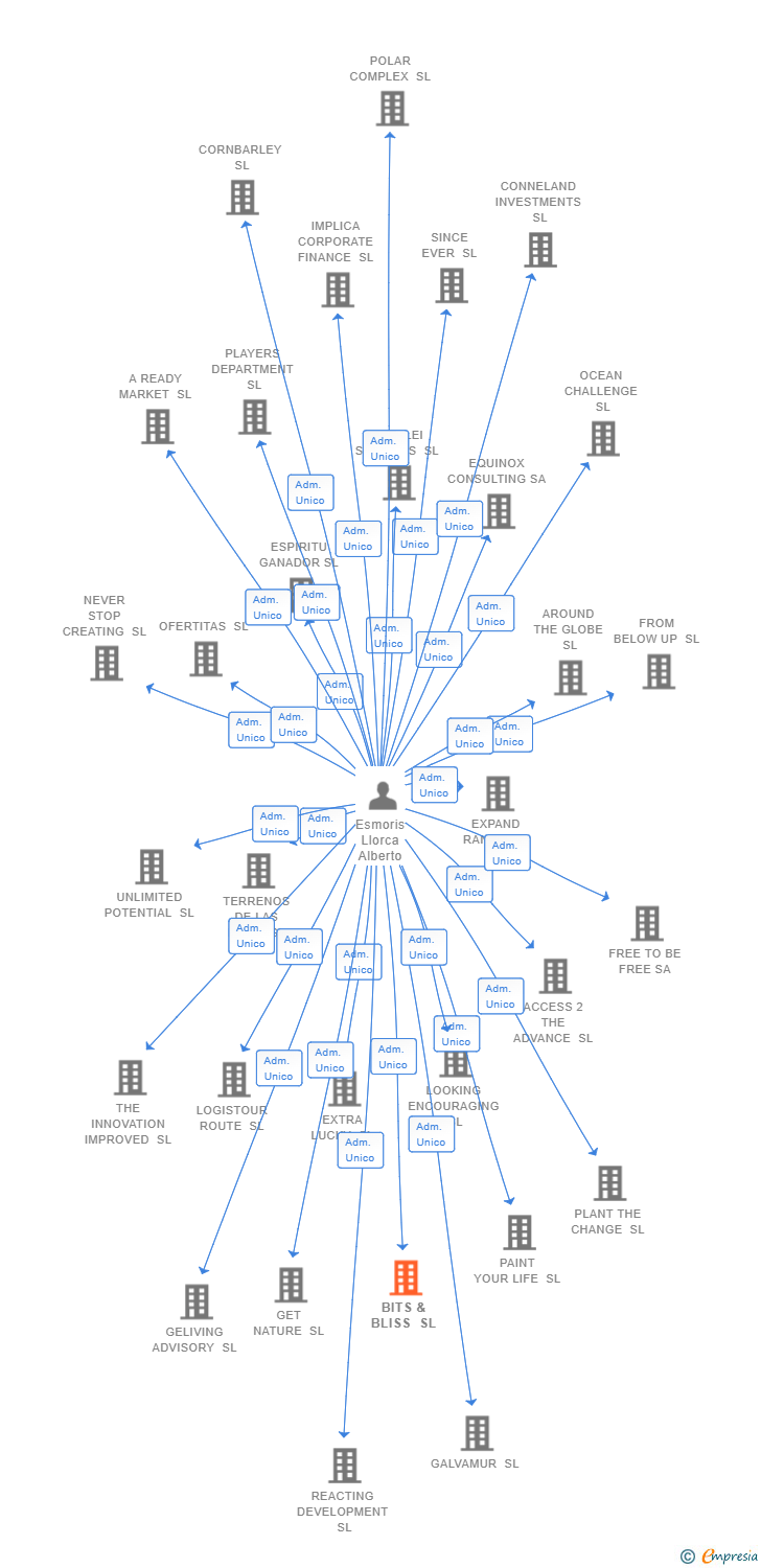 Vinculaciones societarias de BITS & BLISS SL