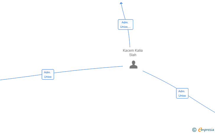 Vinculaciones societarias de EMIR SEAFOOD SL