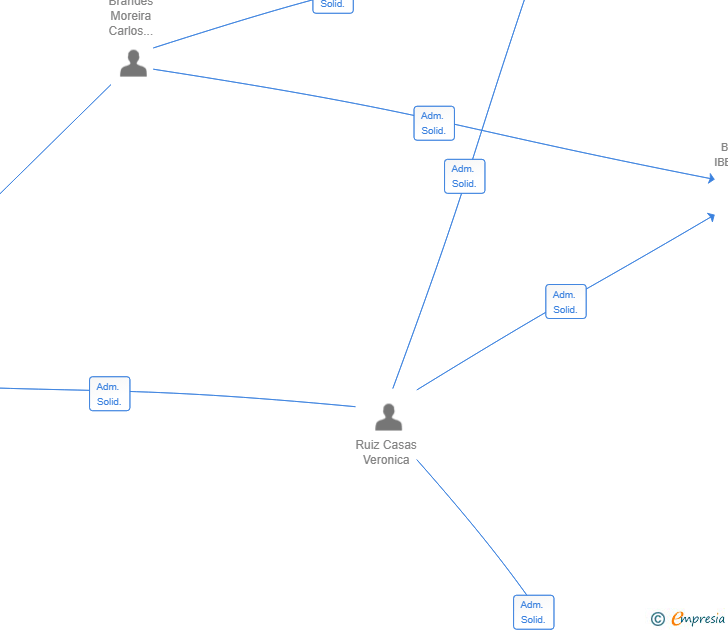 Vinculaciones societarias de EXPERTIZA GROUP SL