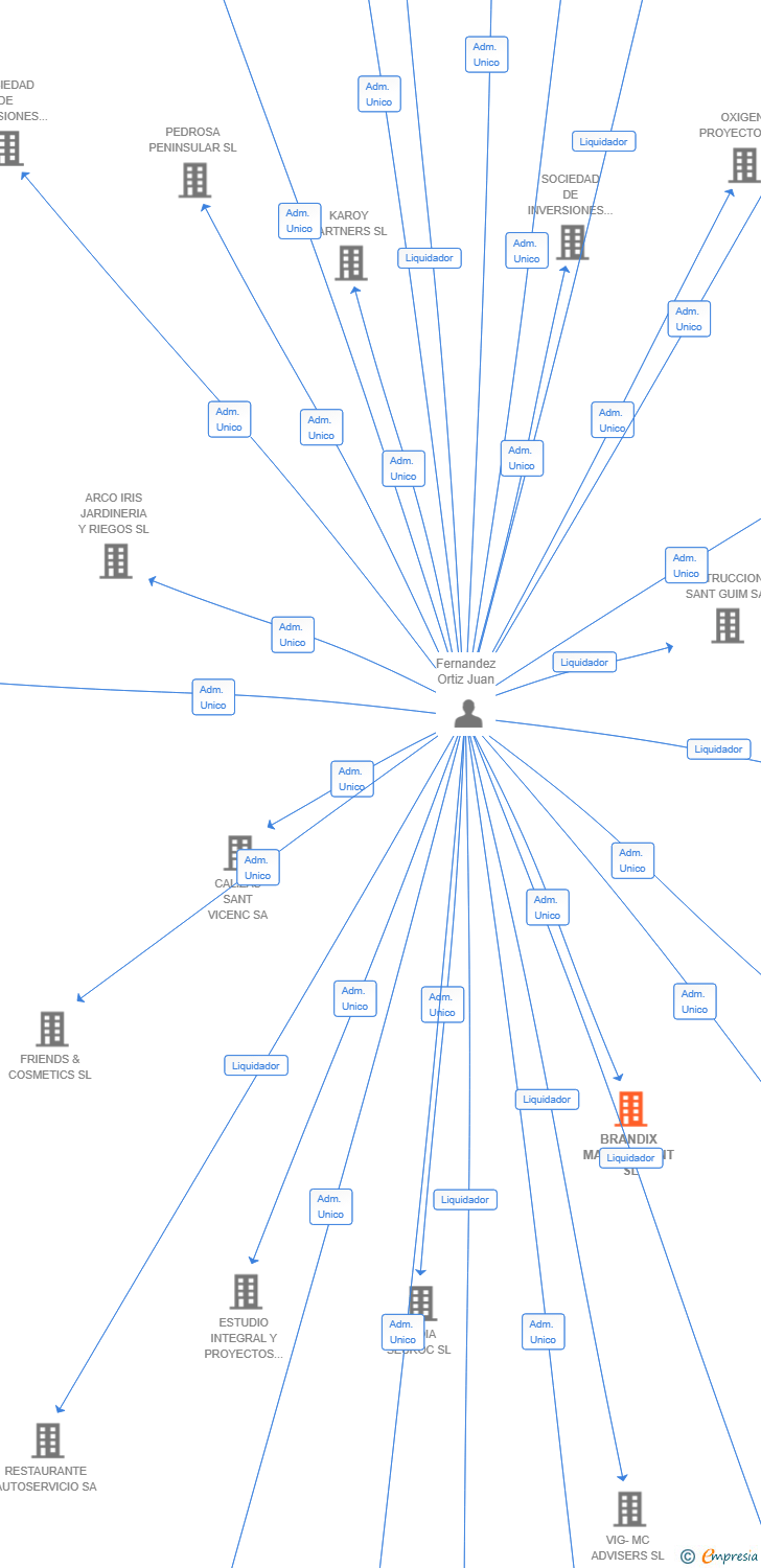 Vinculaciones societarias de BRANDIX MANAGEMENT SL