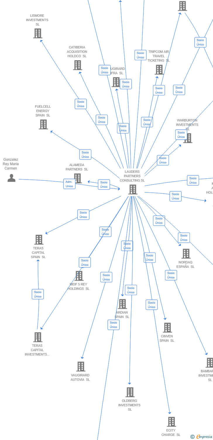 Vinculaciones societarias de DEVLIN INVESTMENTS SL