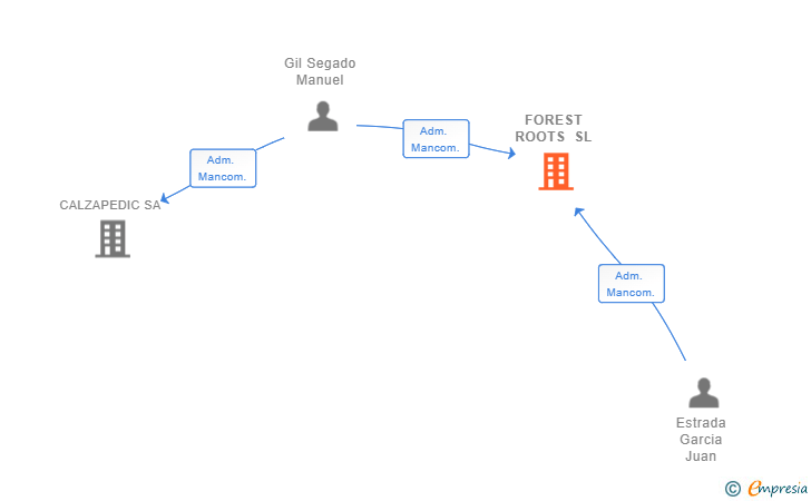 Vinculaciones societarias de FOREST ROOTS SL