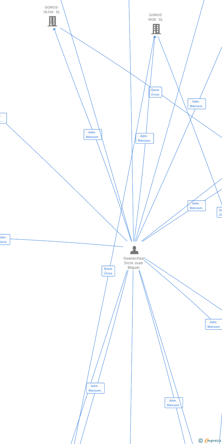 Vinculaciones societarias de JGWINCHET 17 SL