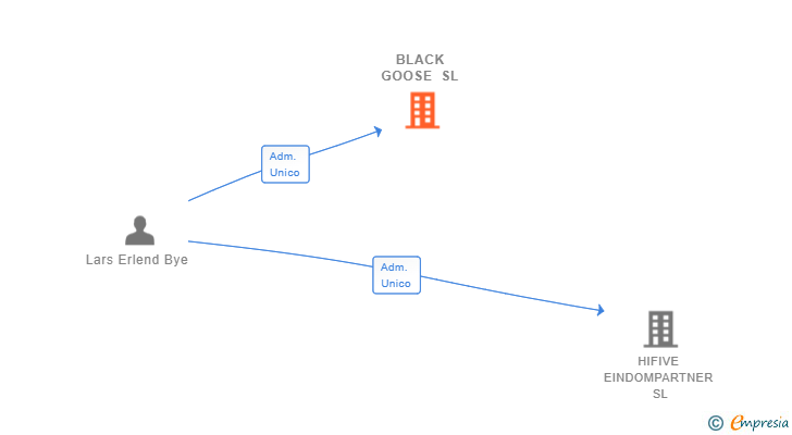 Vinculaciones societarias de BLACK GOOSE SL