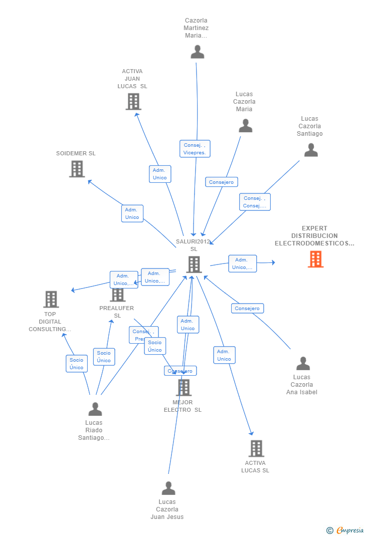 Vinculaciones societarias de EXPERT DISTRIBUCION ELECTRODOMESTICOS DEL SUR SL