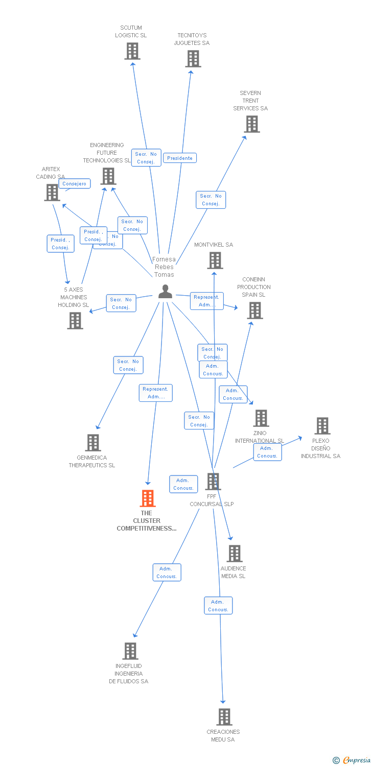 Vinculaciones societarias de THE CLUSTER COMPETITIVENESS GROUP SA
