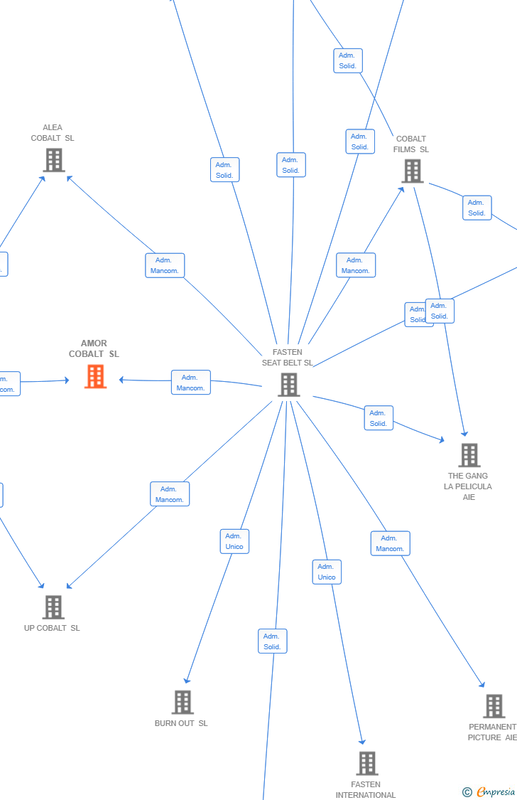 Vinculaciones societarias de AMOR COBALT SL