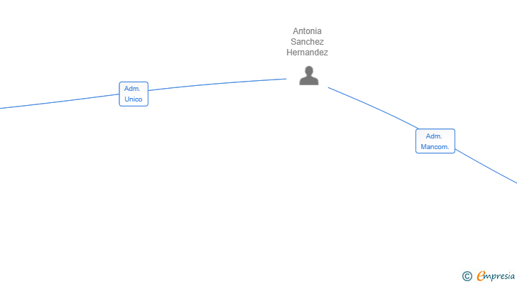 Vinculaciones societarias de ALITUM BS GRUPO SL